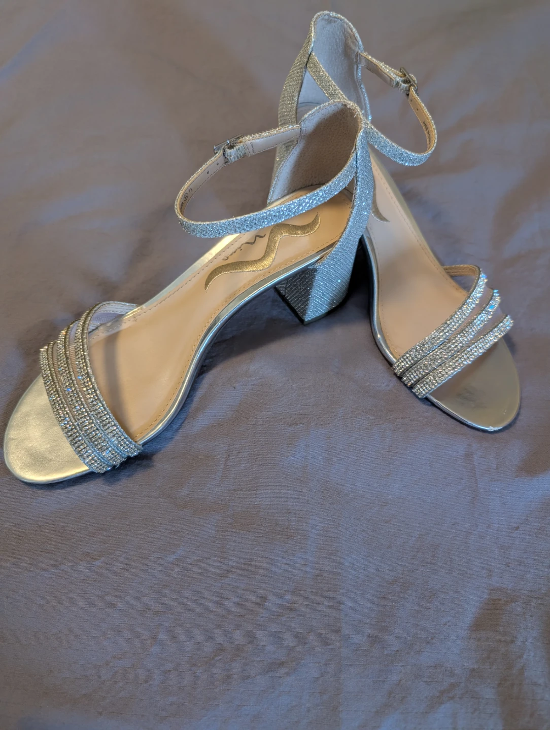 Silver Dream Shoes