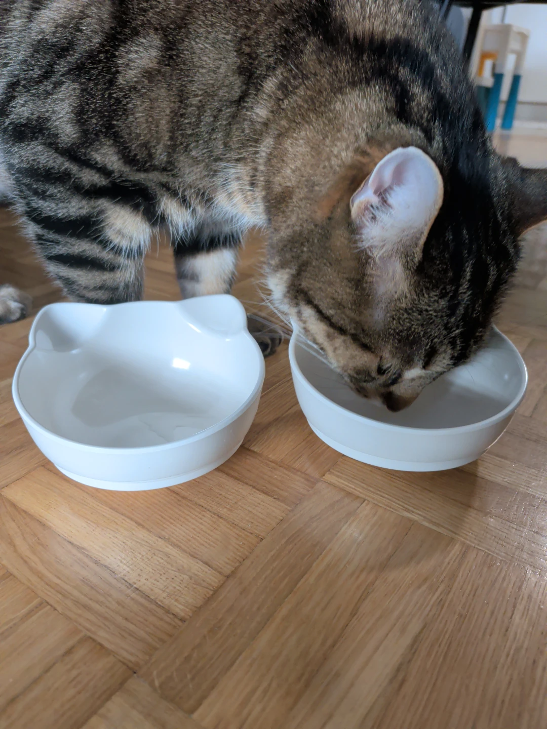 Cat Shaped Pet Bowls with Stand - photo 2