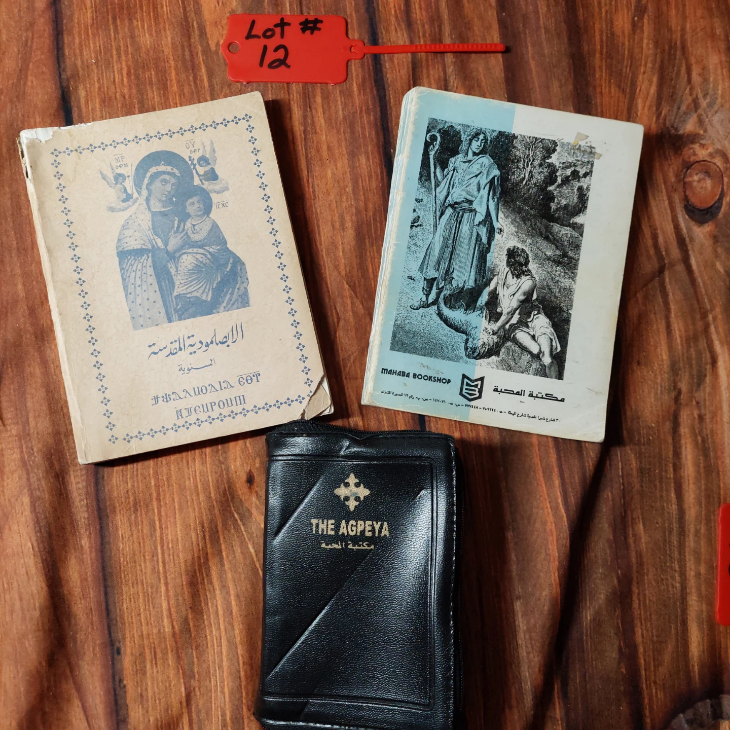 Lot #12 with The Agpeya Coptic Book