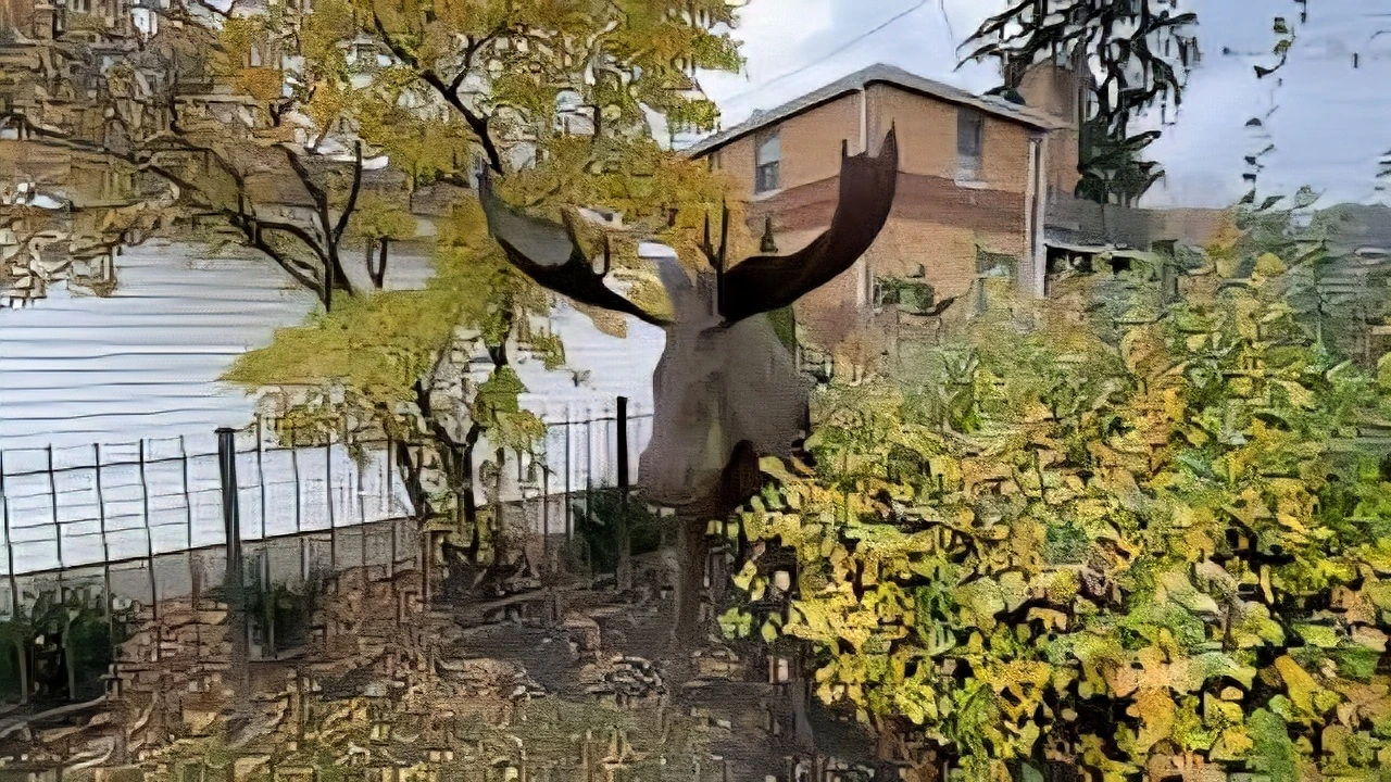 Life Size Dale Merill Iron Moose - photo 4