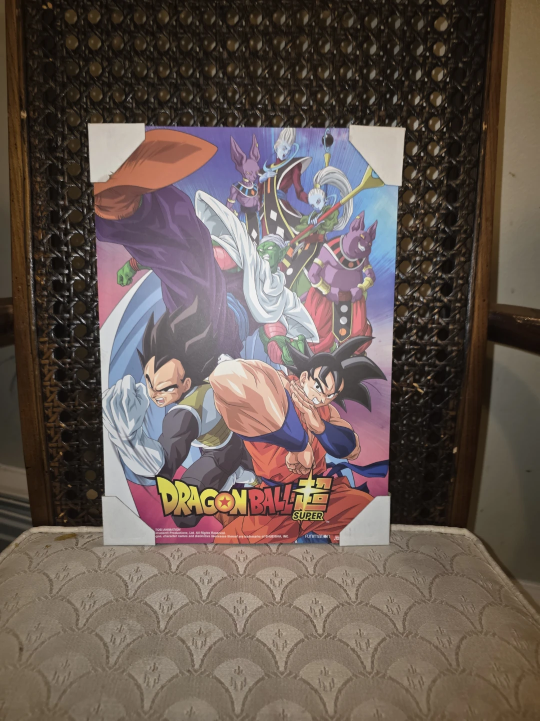 Dragon Ball Super Framed Poster 🥕