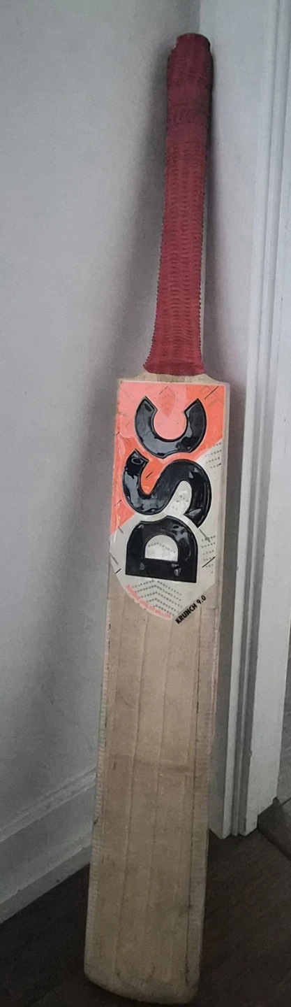 DSC Krunch Cricket Bat