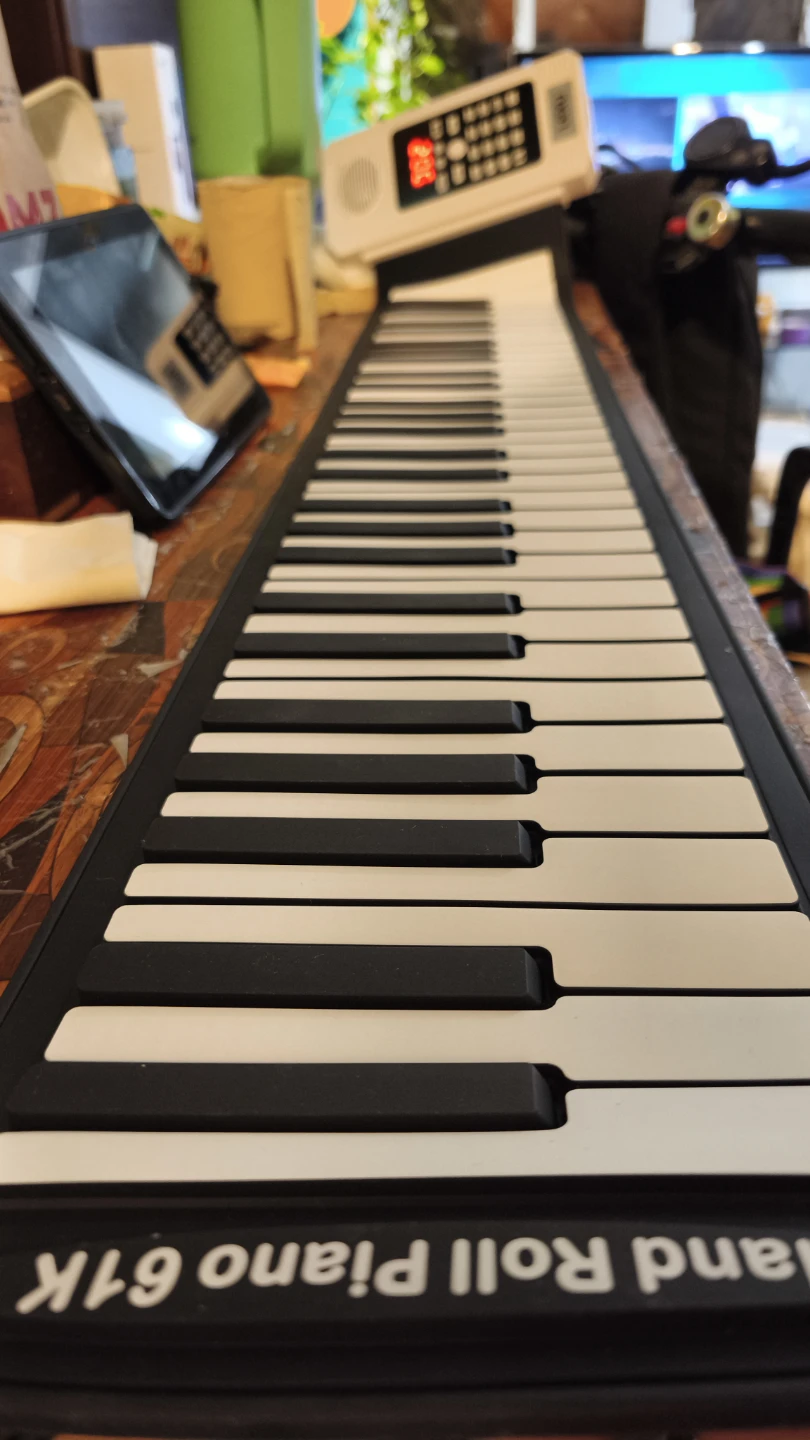 NEW LEXU Hand Roll Piano 61Key, 128 tone, 14 demo and 128 ryhthm