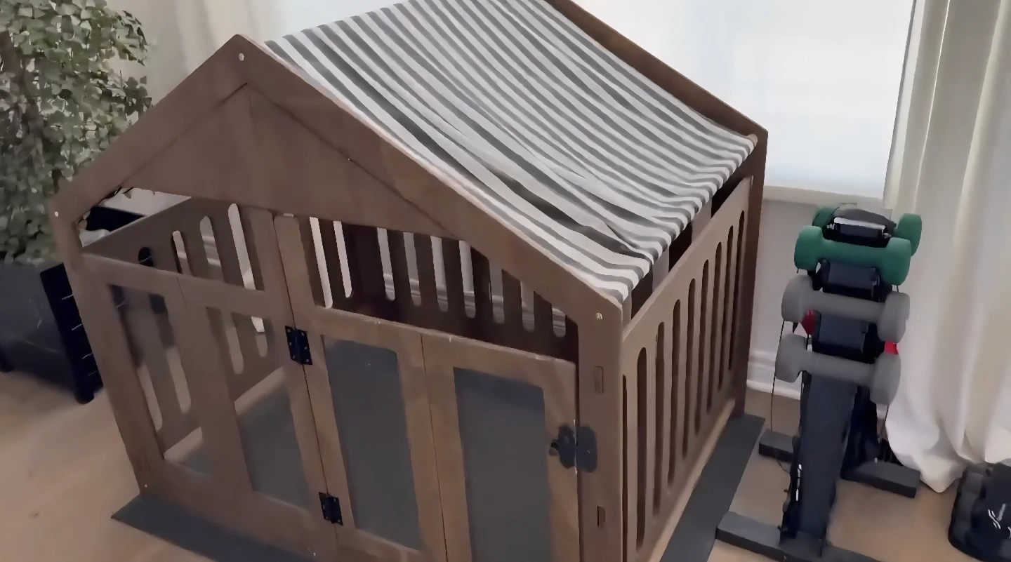 Dog canopy house