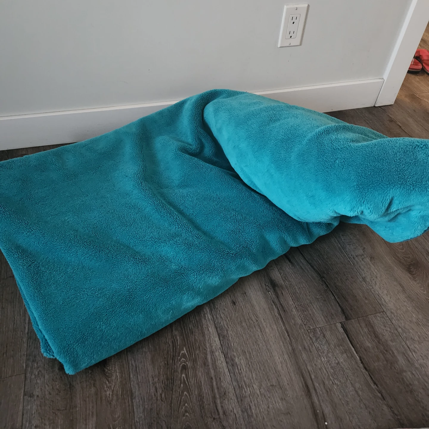Teal Plush Throw Blanket - photo 2