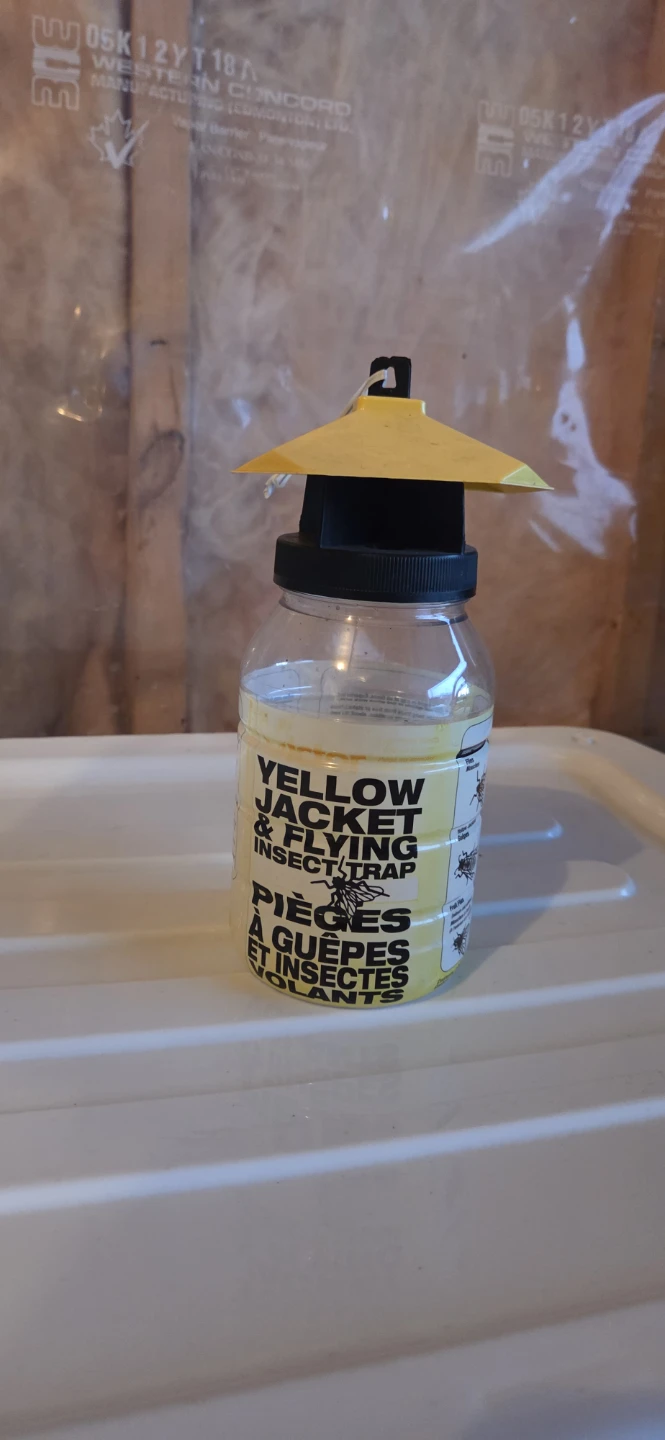 Free Yellow Jacket & Flying Insect Trap