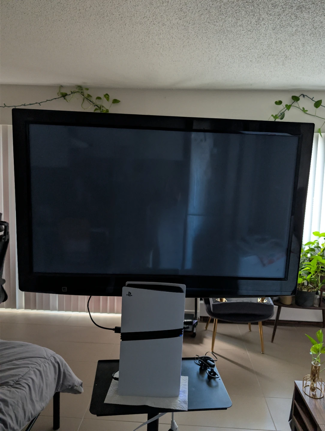 Panasonic Screen TV 55' - photo 2