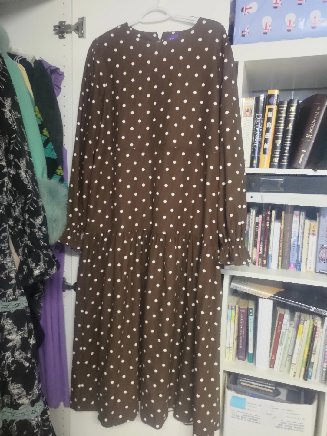 Brown Polka Dot Dress