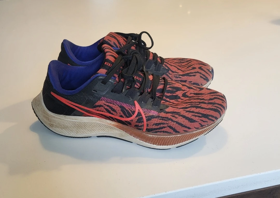 Women's Nike  Pegasus Running Shoes - Animal Print