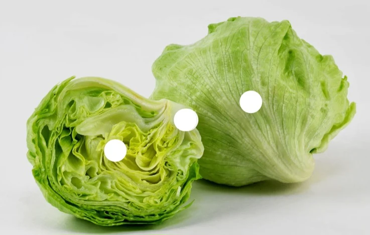 Iceberg Lettuce