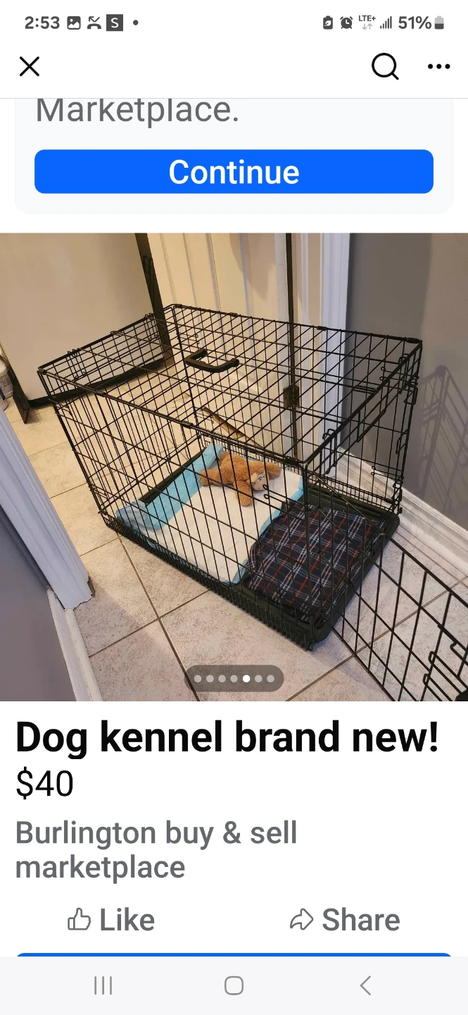 Brand New Dog Kennel