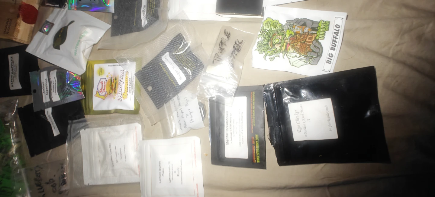 Assorted Seeds - Various Brands - photo 3