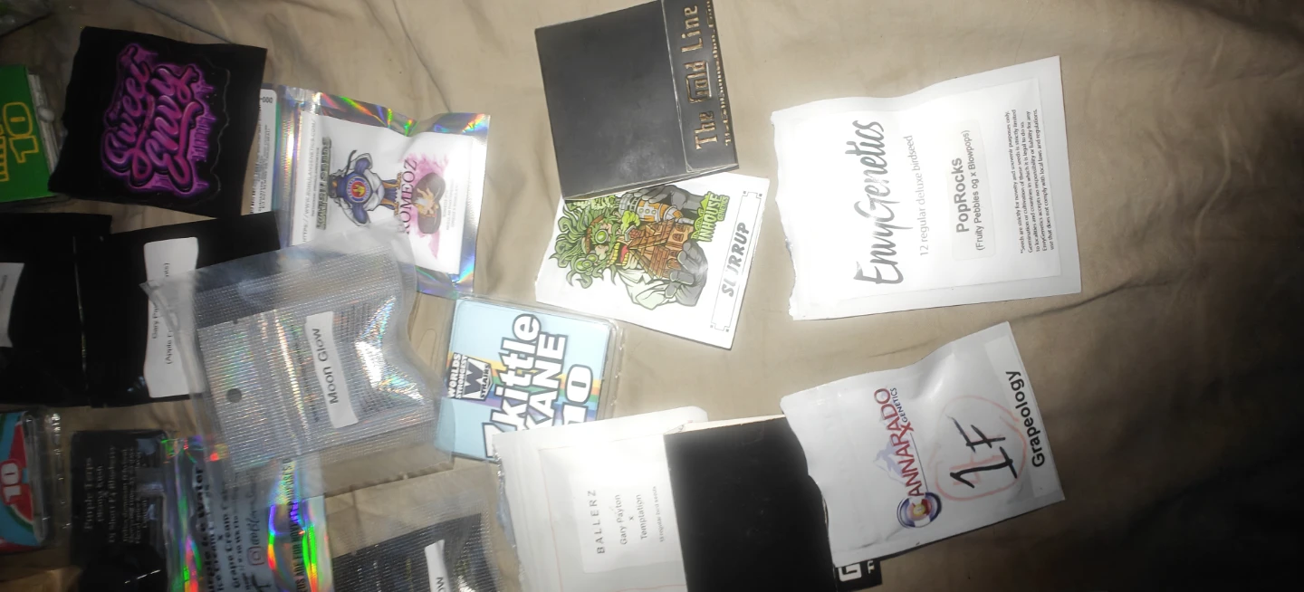 Assorted Seeds - Various Brands - photo 4