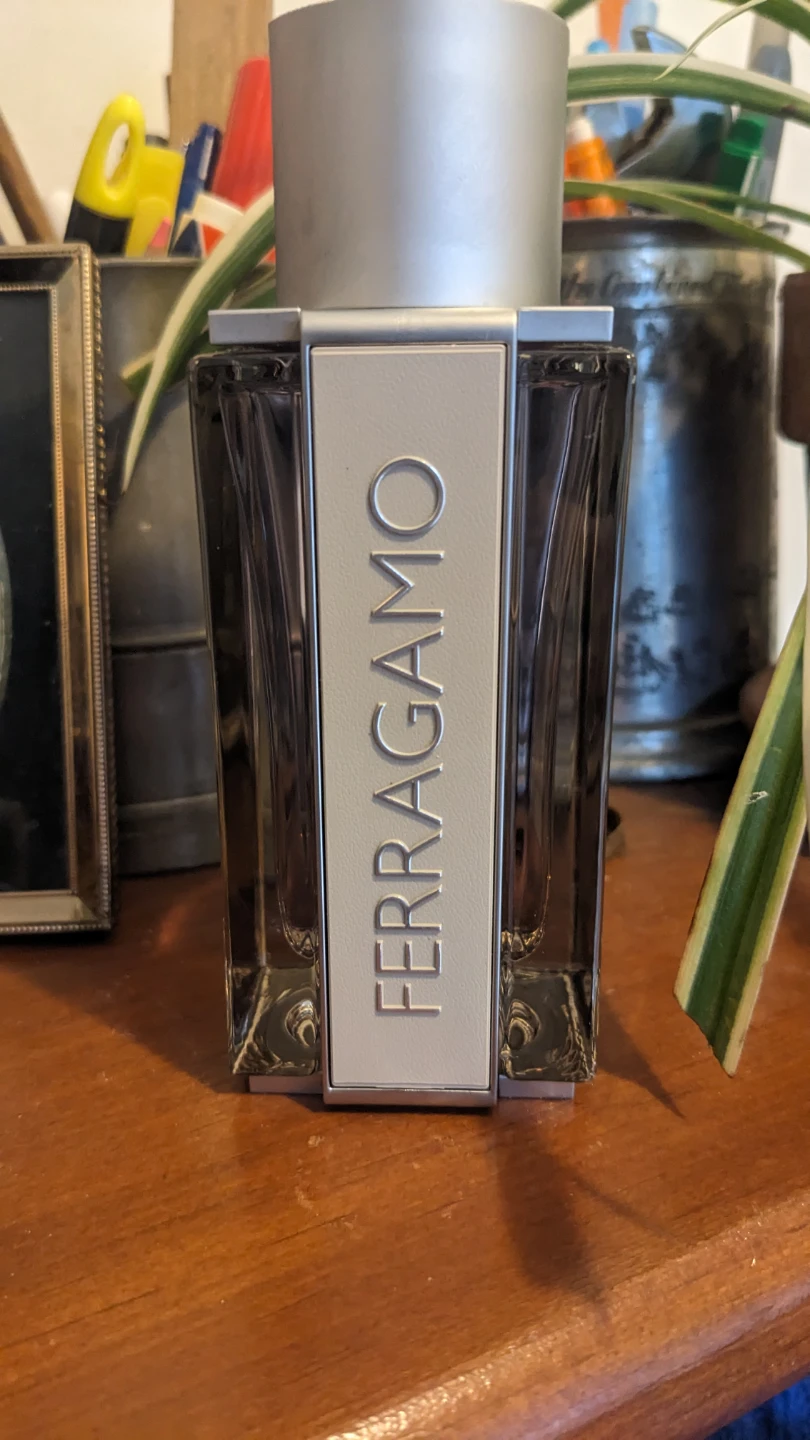 Salvatore Ferragamo F by Ferragamo Pour Homme