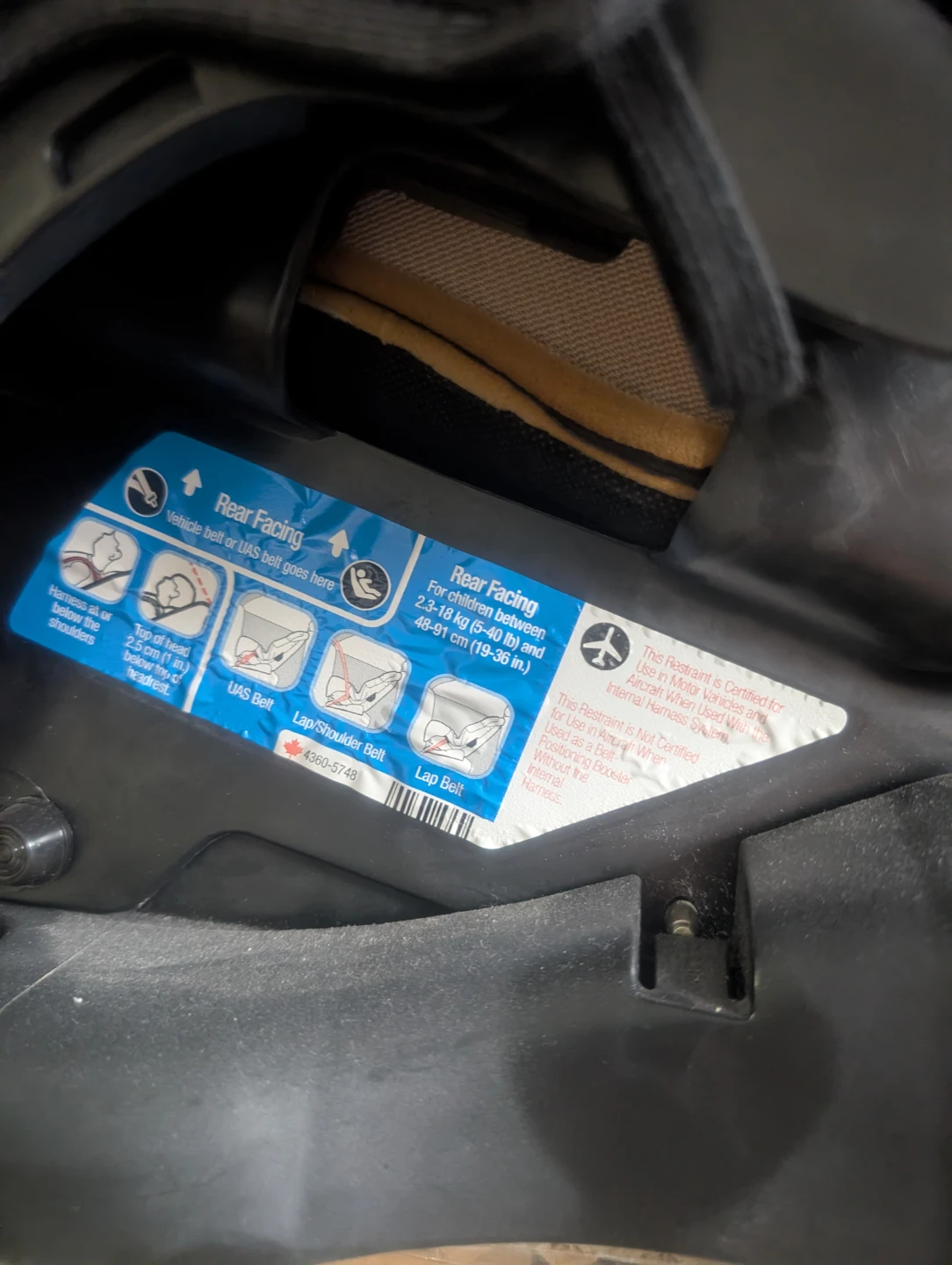 Safety 1st Convertible Car Seat - photo 3