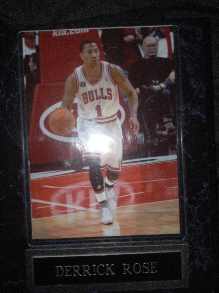 Derrick Rose Framed Picture