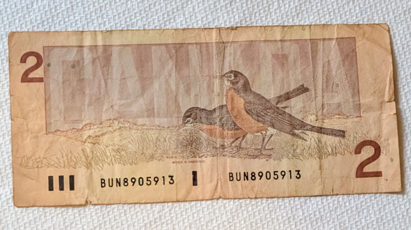 Collection of bank notes - photo 4