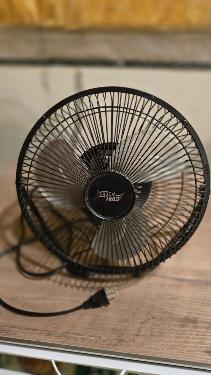 Cool Works 1003 Desk Fan