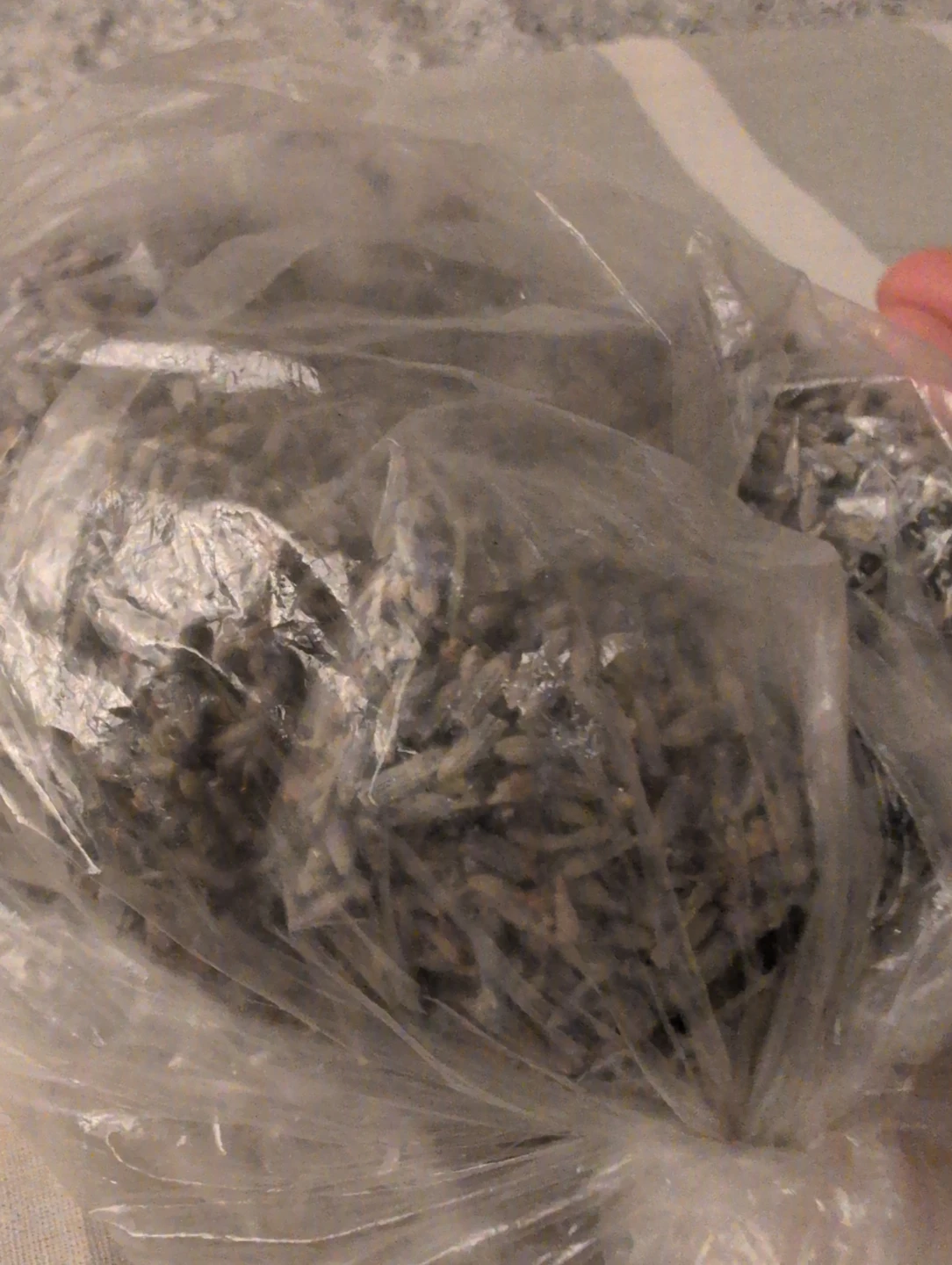 Dried Lavender - bulk Barn - photo 2