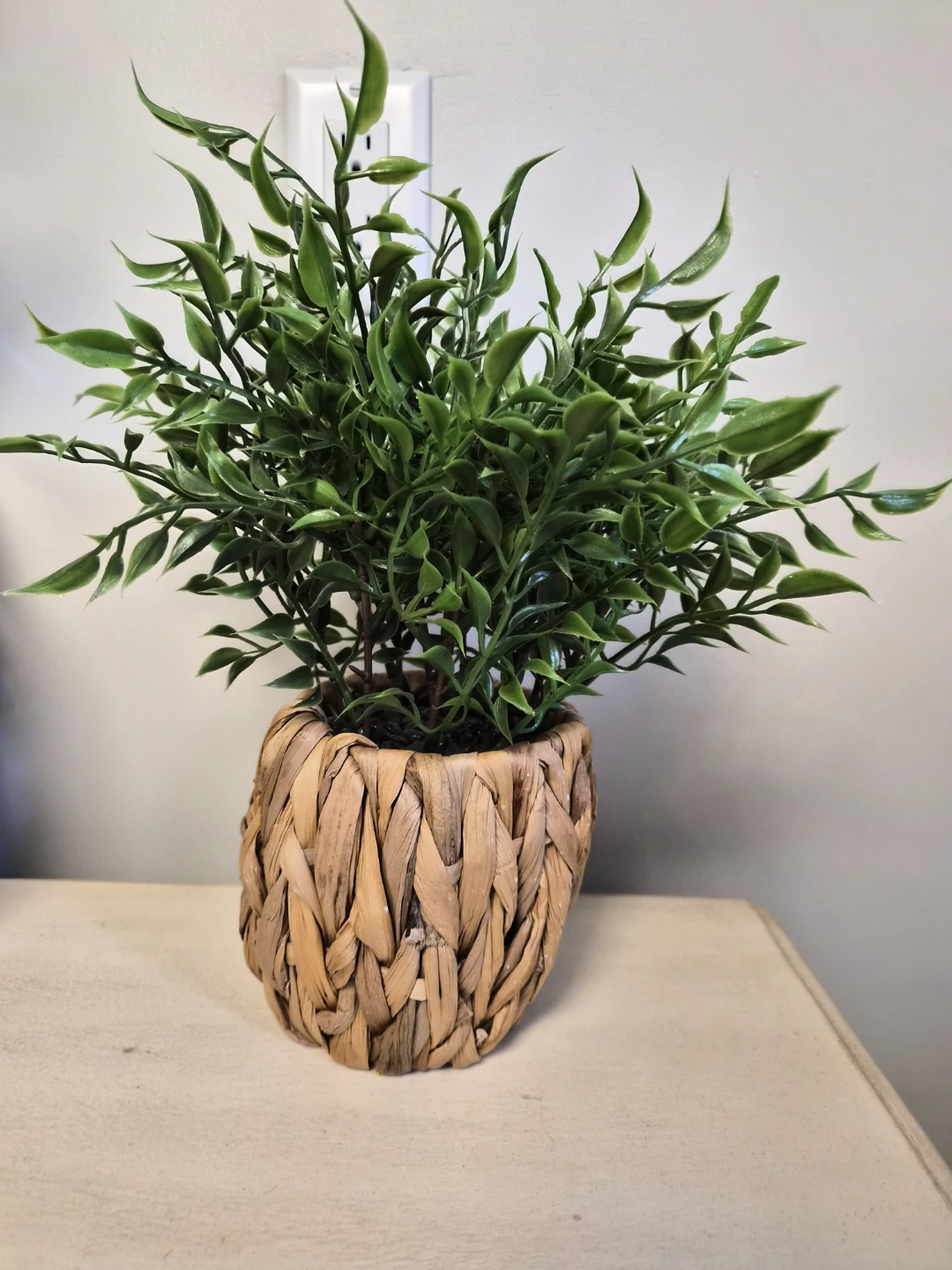 Artificial Green Plant in Woven Pot