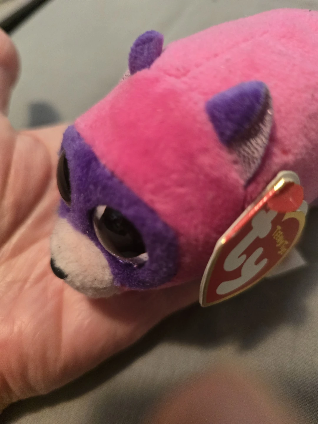 Ty Teeny Tys Pink/Purple Raccoon Plush- New