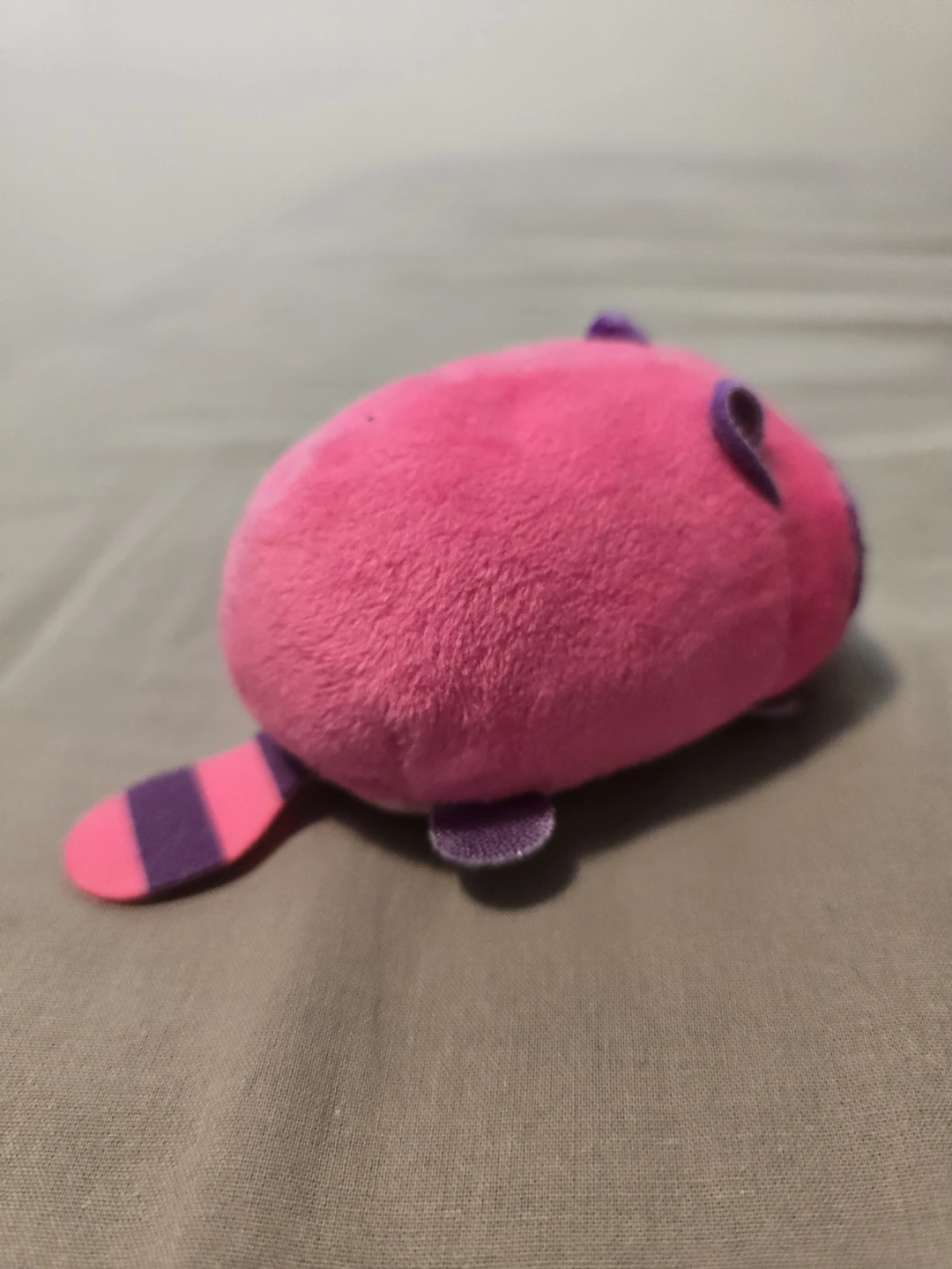 Ty Teeny Tys Pink/Purple Raccoon Plush- New - photo 4