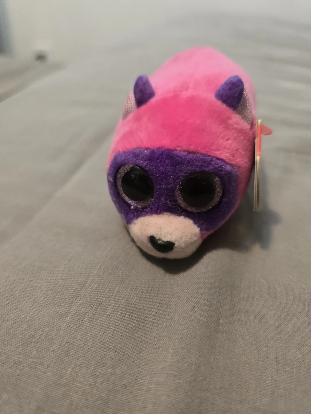 Ty Teeny Tys Pink/Purple Raccoon Plush- New - photo 5