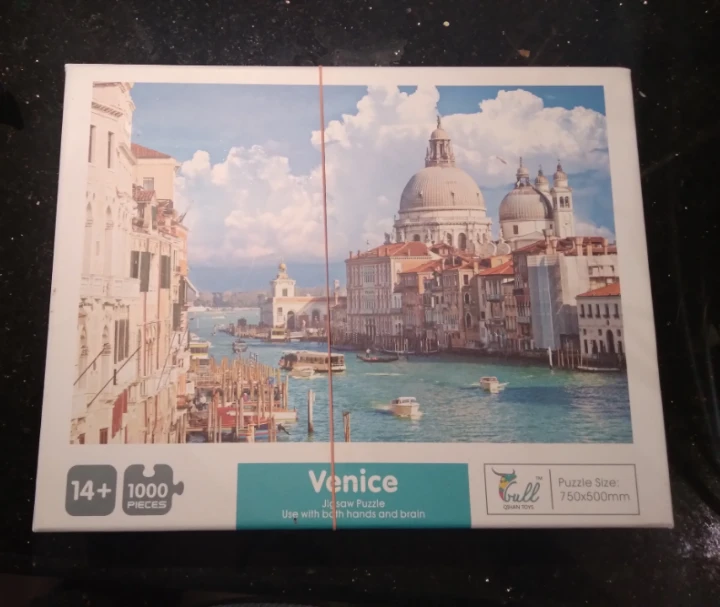 Bull Venice 1000-Piece Jigsaw Puzzle