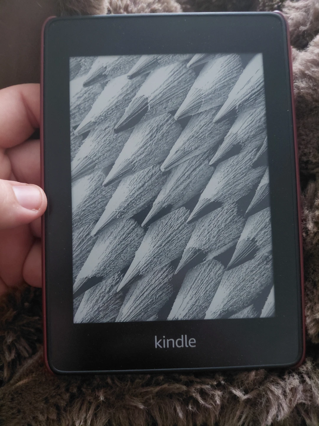 Amazon Kindle E-reader