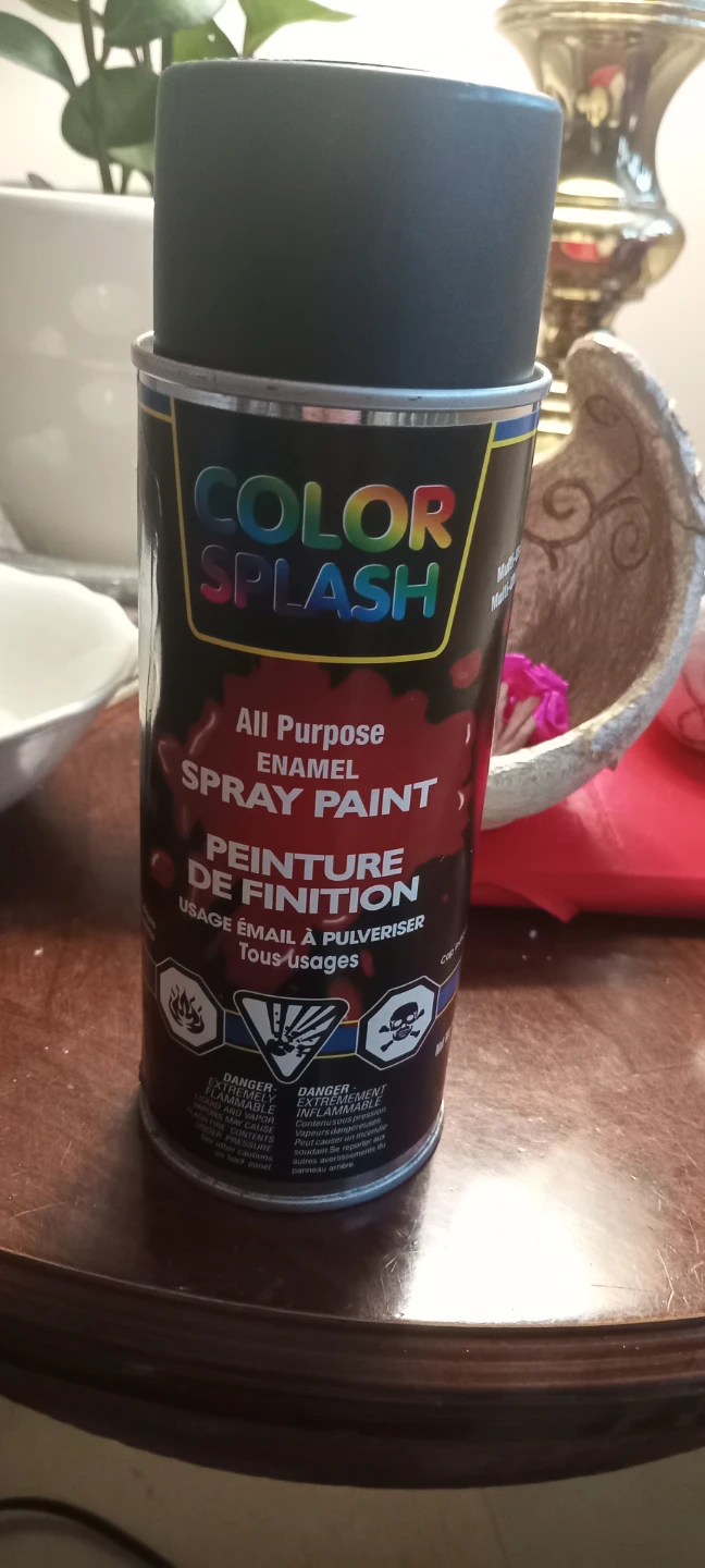 Color Splash All Purpose Enamel Spray Paint