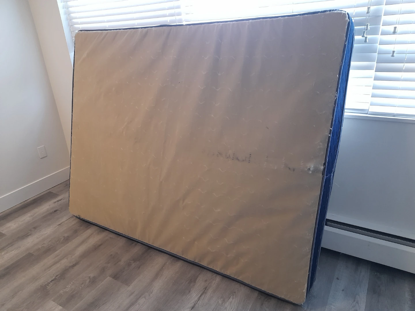Free Mattress Queen Size - photo 5