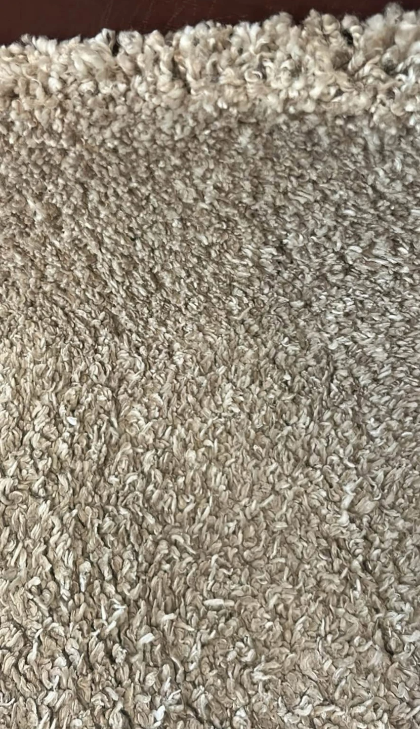 Beige Shag Rug - photo 2
