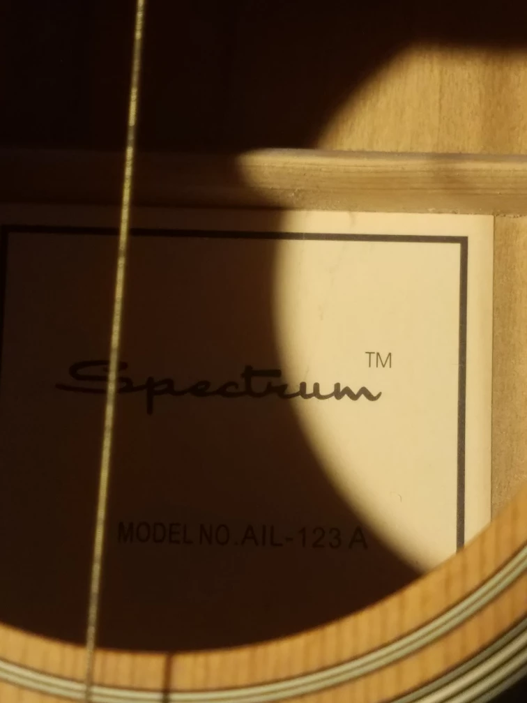 Spectrum AIL-123 A Acoustic Guitar - photo 2