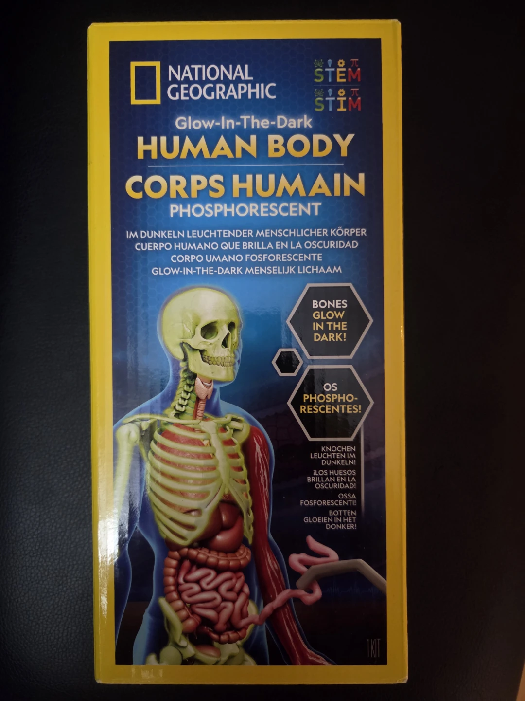 National Geographic Human Body Anatomy Kit
