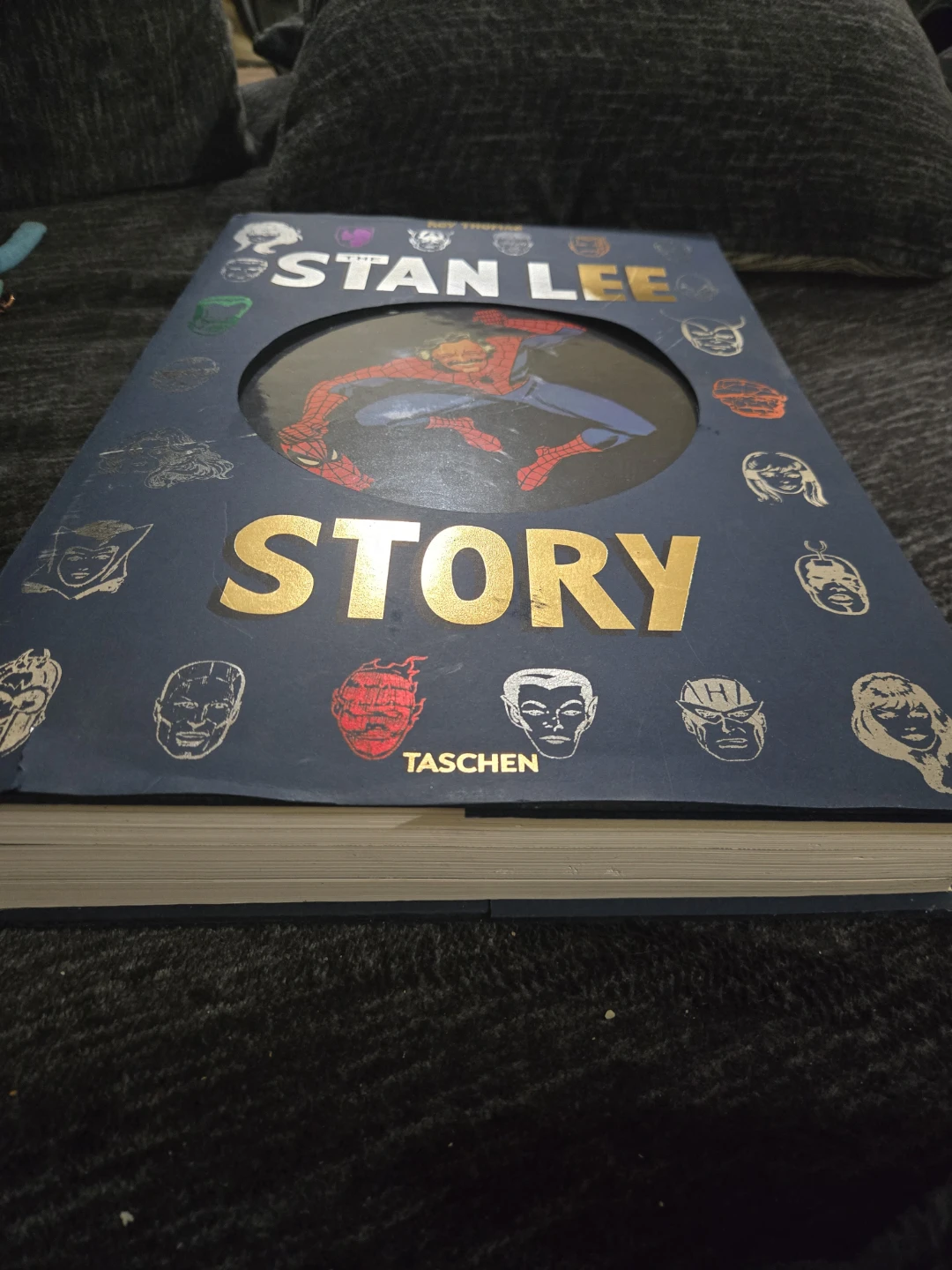 The Stan Lee Story by Roy Thomas Book - photo 2