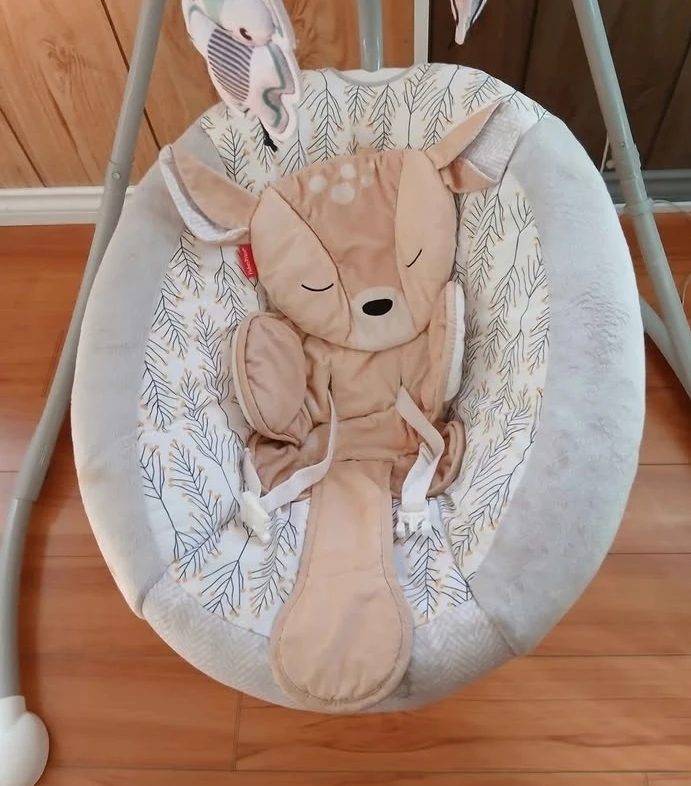 Fisher-Price Baby Swing - photo 2