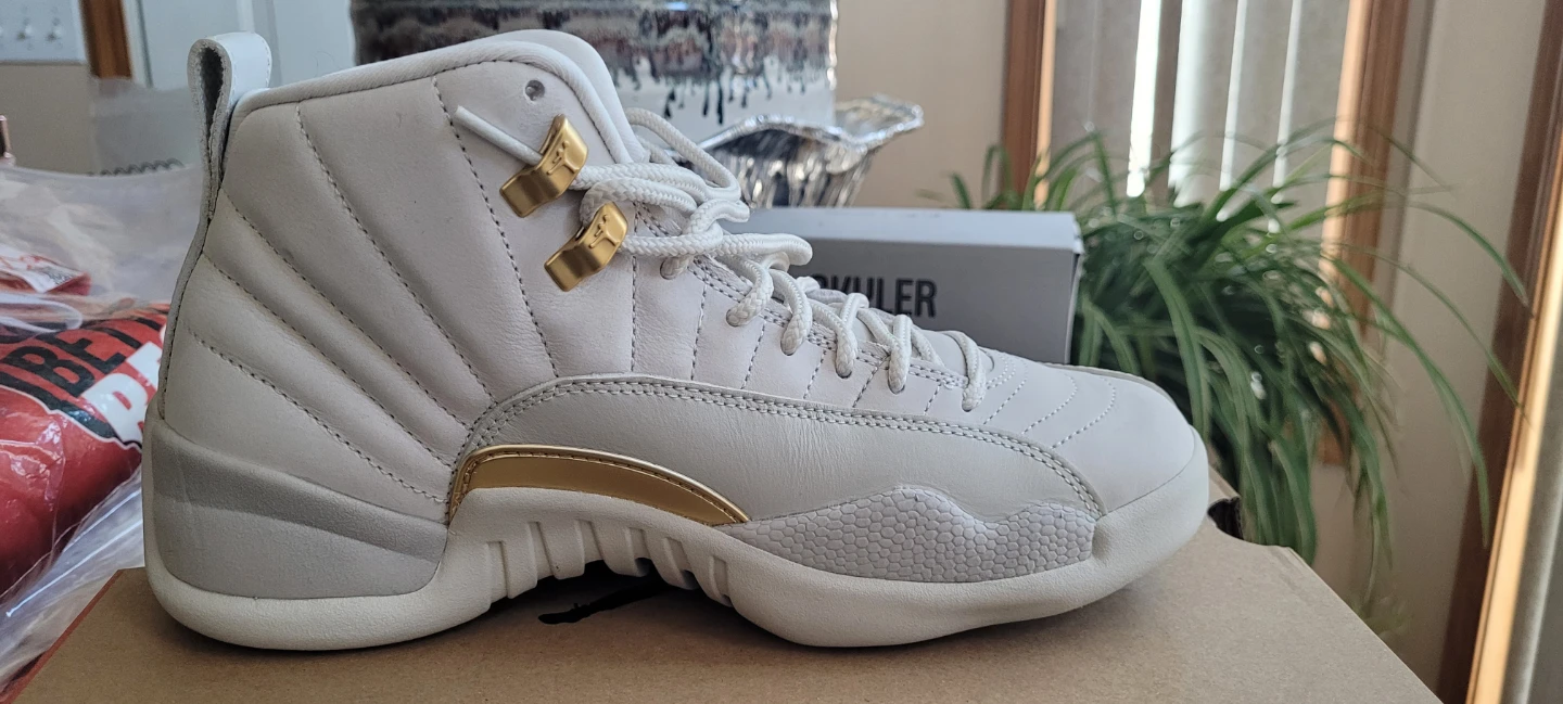 New never worn Jordan retro 12