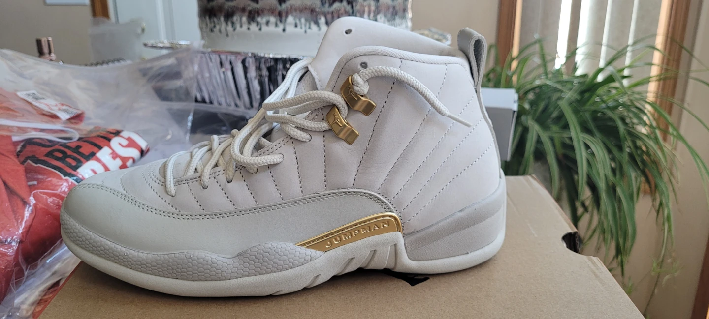 New never worn Jordan retro 12 - photo 3