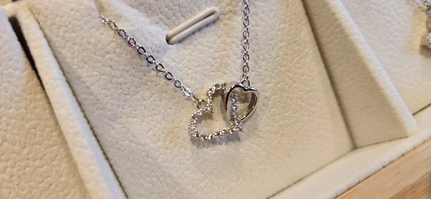 Necklace with Heart and Dragonfly Pendants