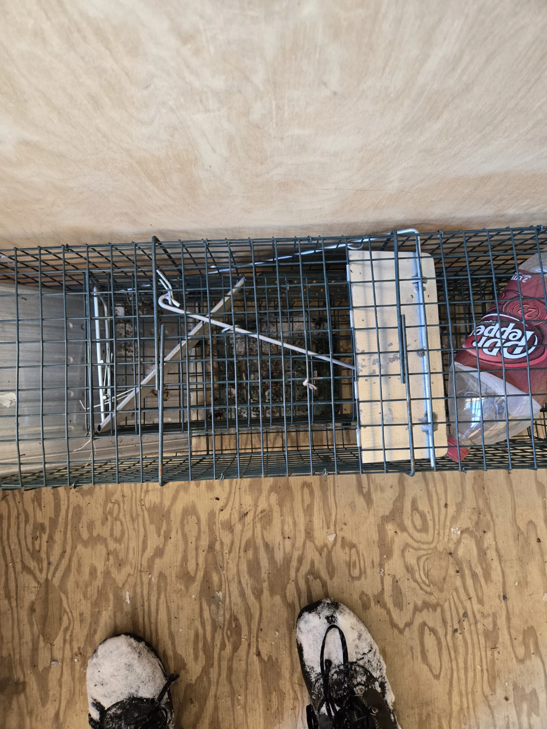 2 Animal Trap