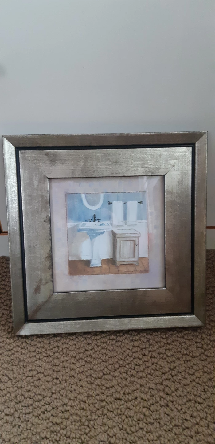 Framed Bathroom Art