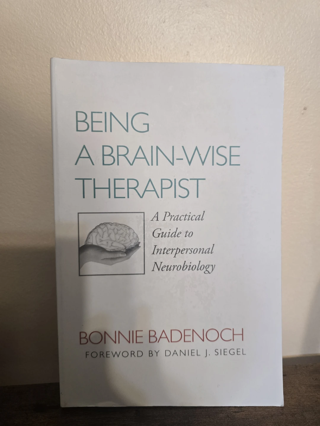 Being a Brain-Wise Therapist Book
