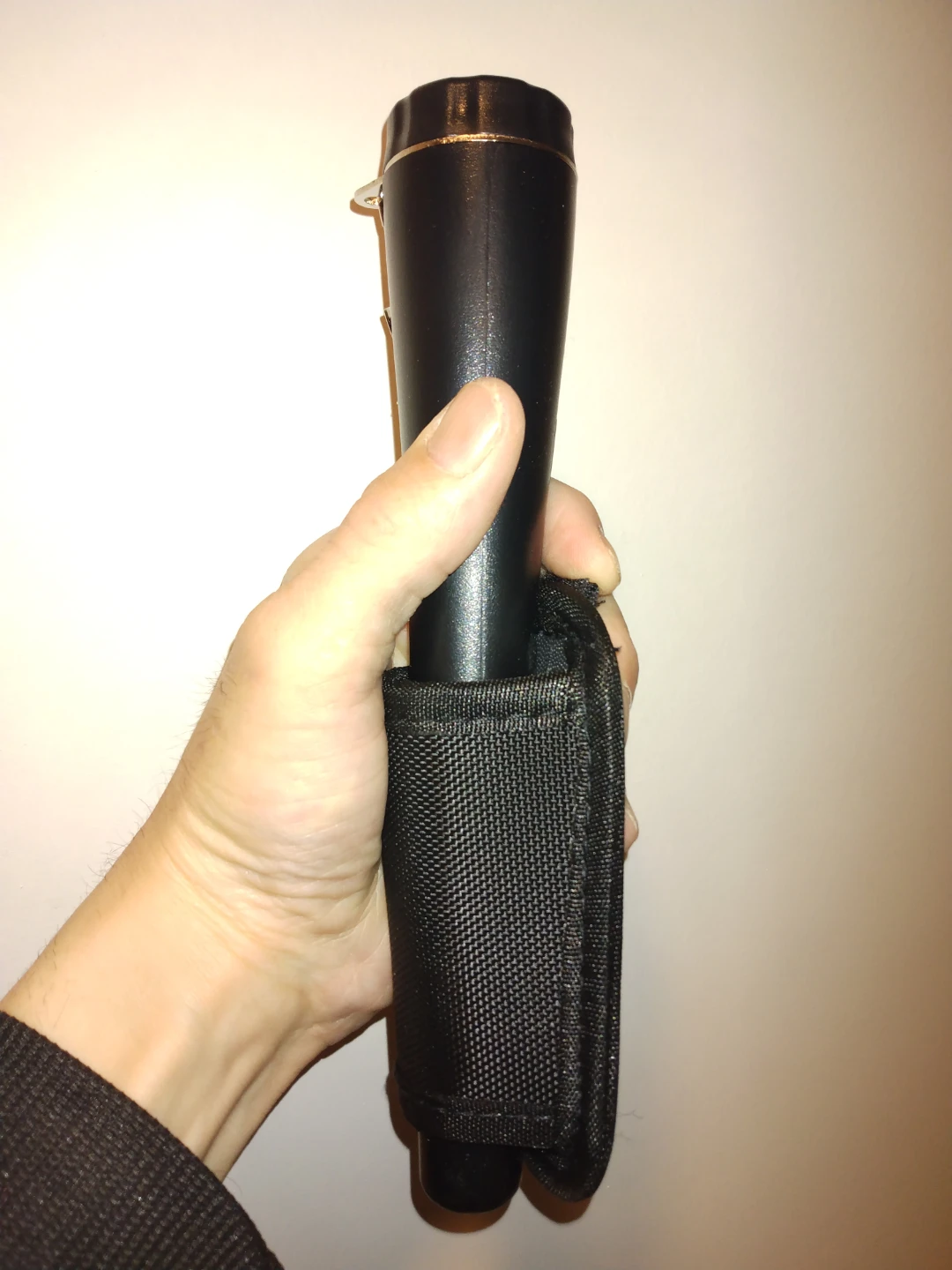 Brand New GP-POINTER Metal Detector with Pinpointing Tip 🏆 - photo 3