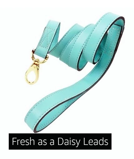 Hartman & Rose Fresh as a Daisy Dog Collar & Leash - photo 2