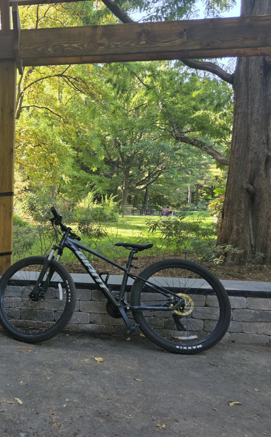 Giant mountain bike