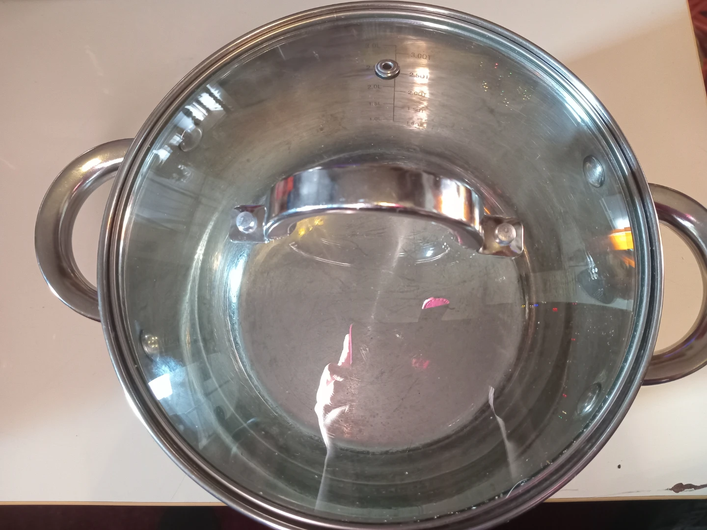 Bergner Stainless Steel Stock Pot