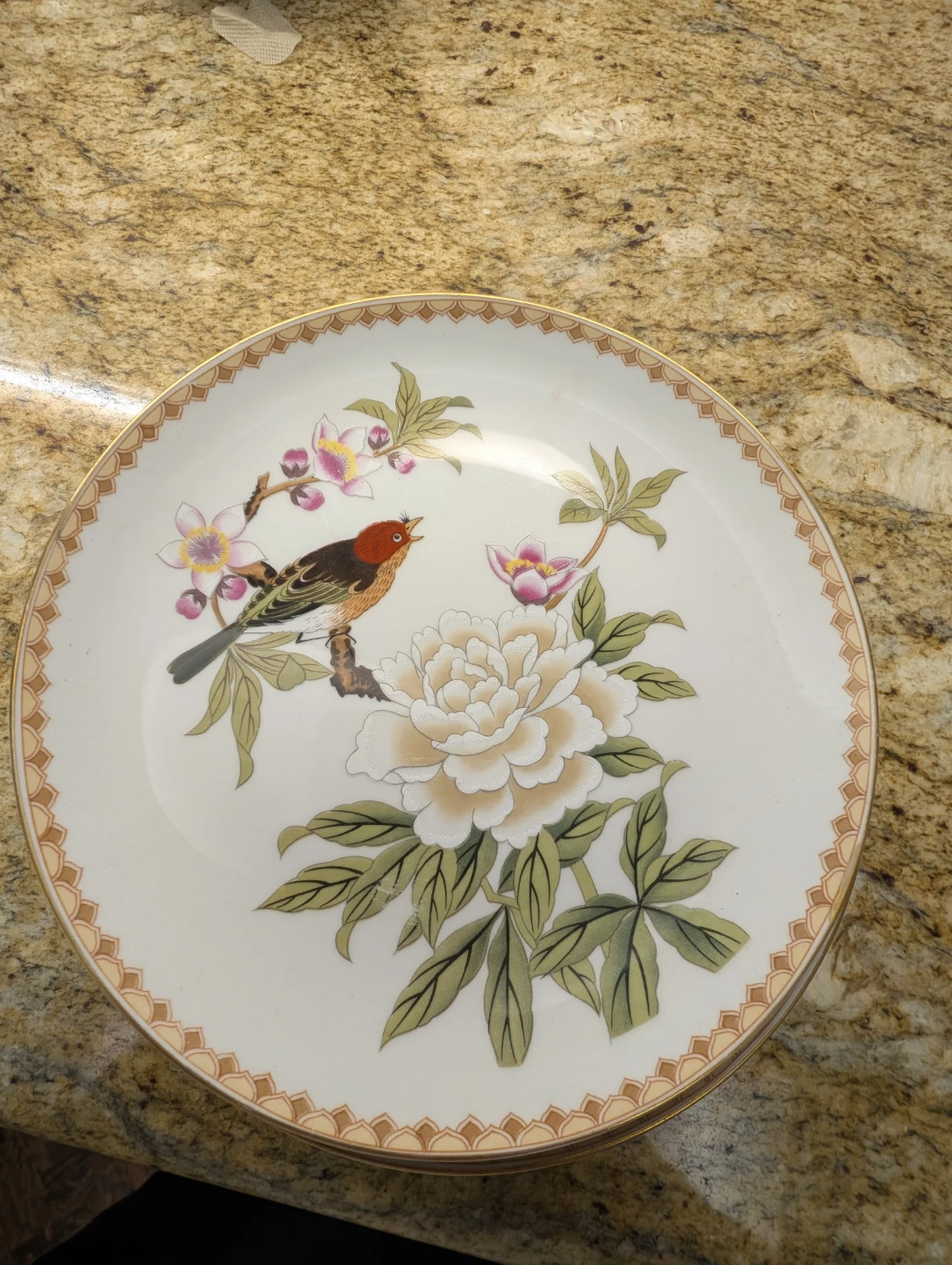 Set of 8 Vintage Oriental Bird and Flower Plates - photo 2