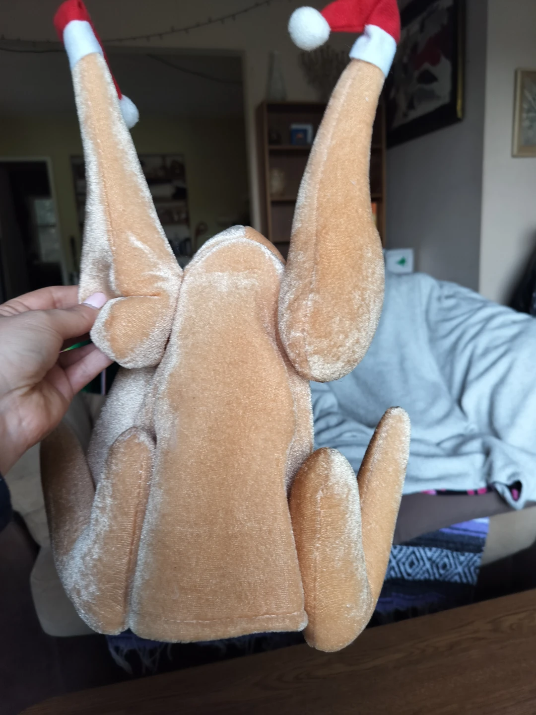 Funny Turkey Hat with Santa Hats