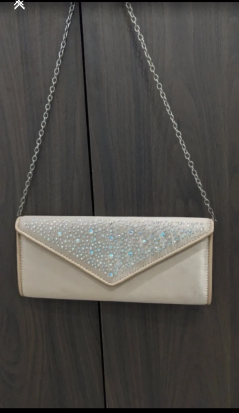 🧡 Aldo Evening Clutch with Chain