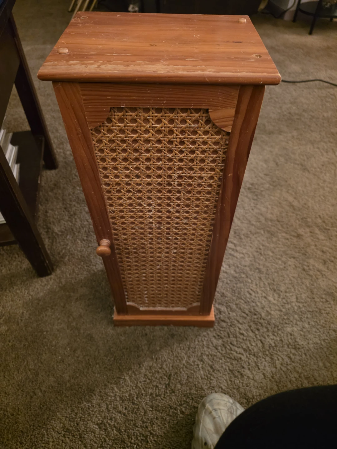 Small Wooden Cabinet with Door